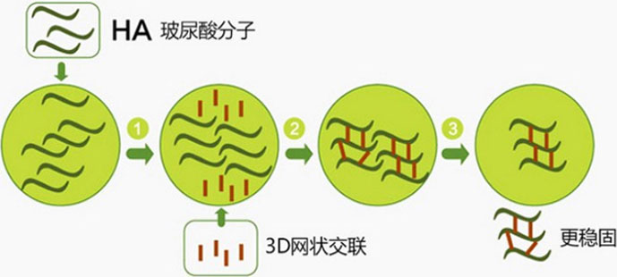 爱芙莱玻尿酸3D网状交联技术，塑形更强